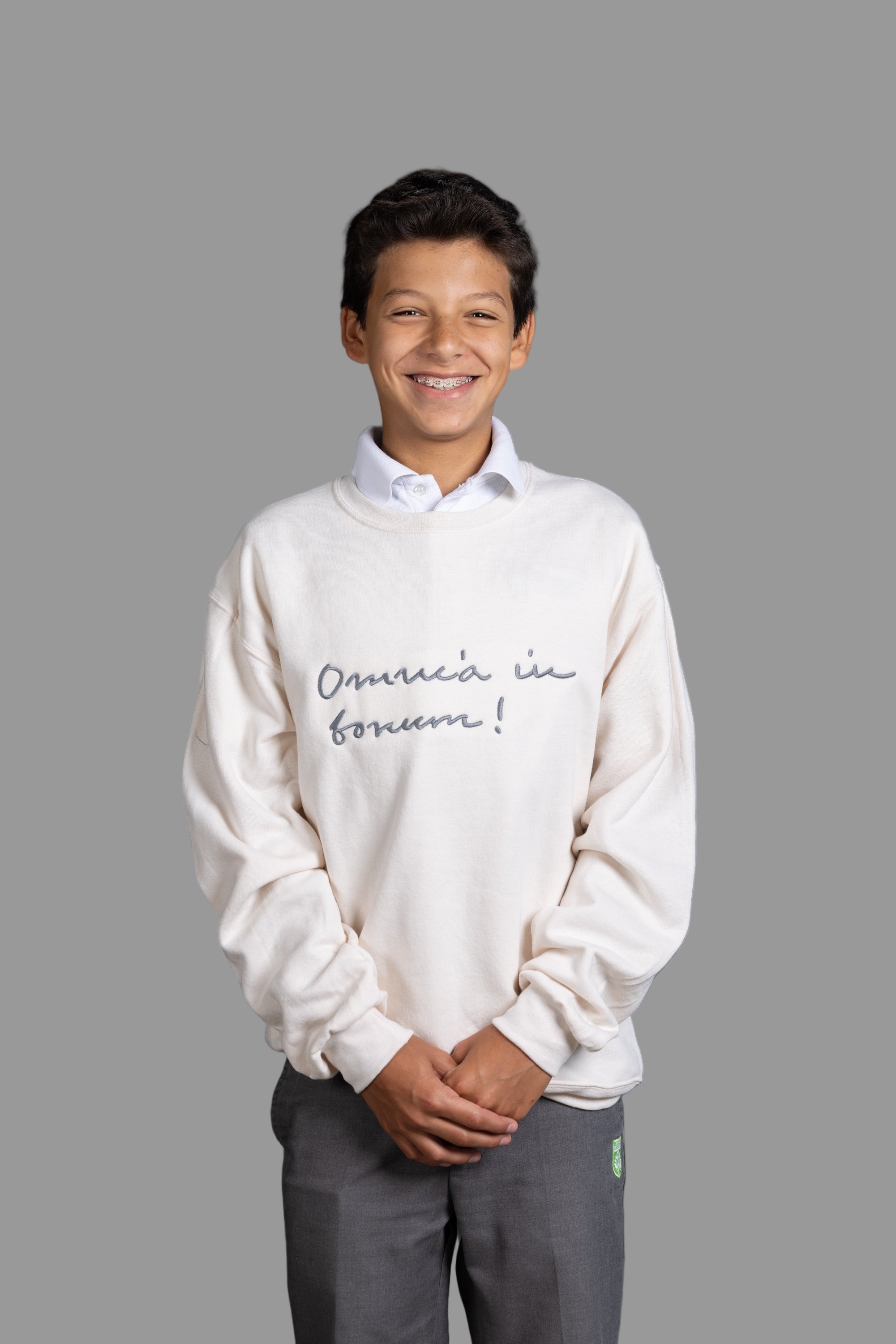 Crewneck Sweatshirt/Big Logo