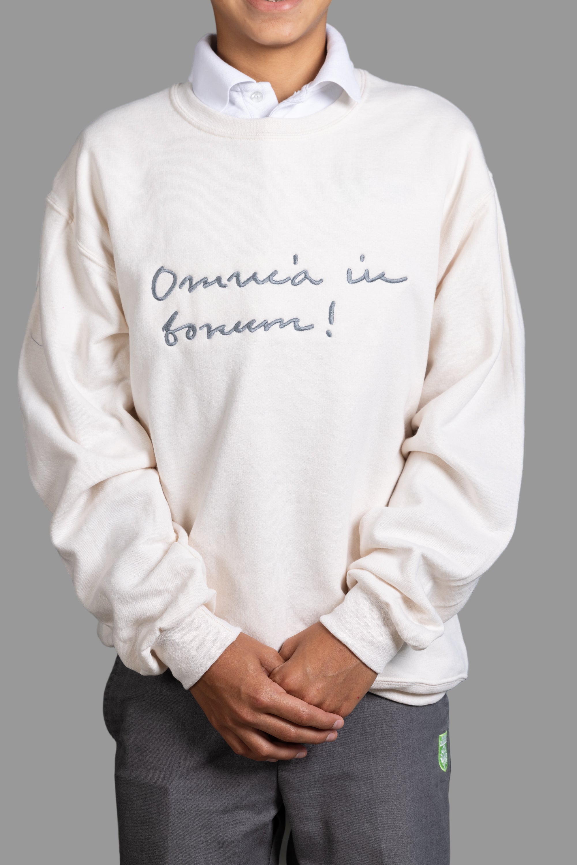 Crewneck Sweatshirt/Big Logo