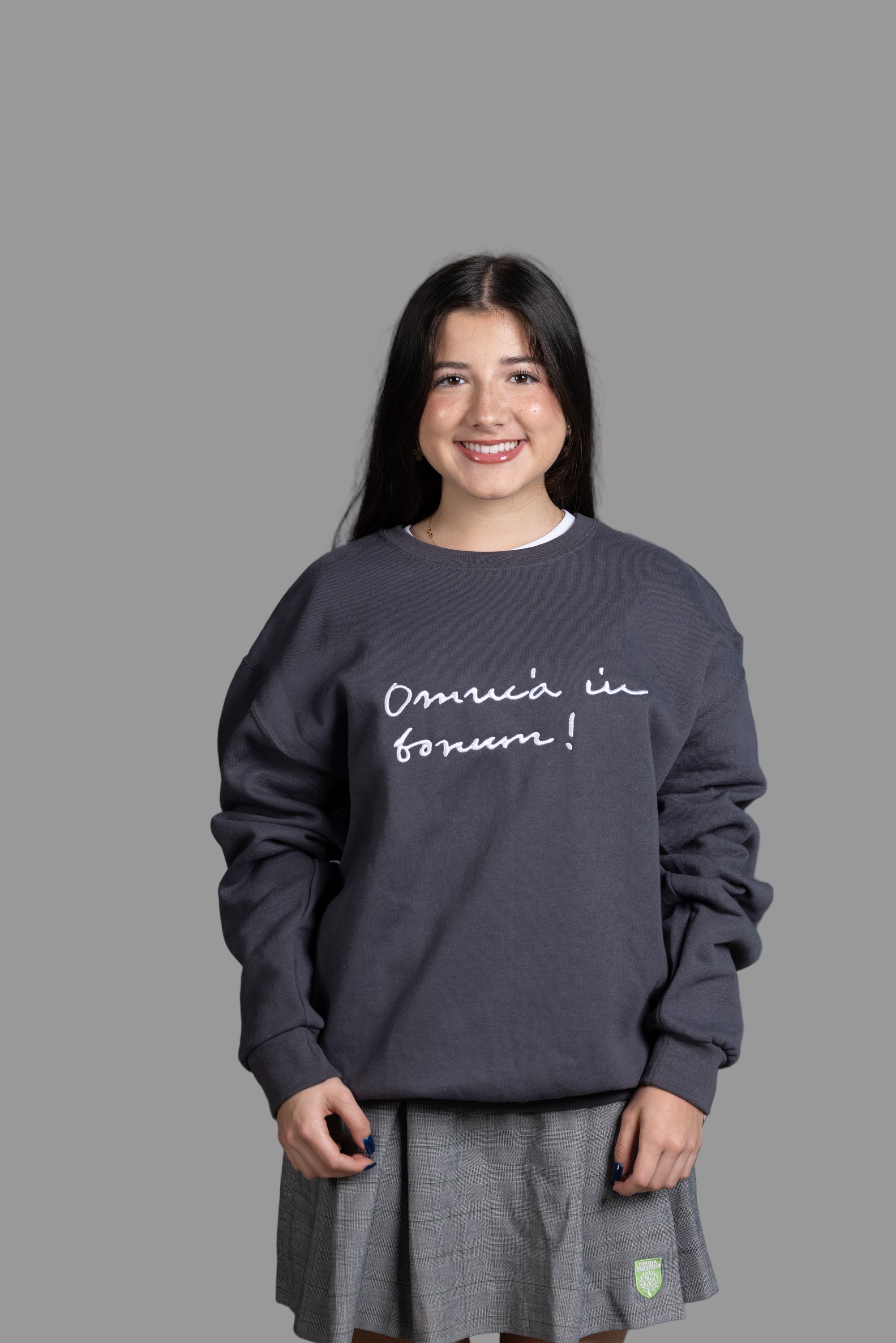 Crewneck Sweatshirt/Big Logo