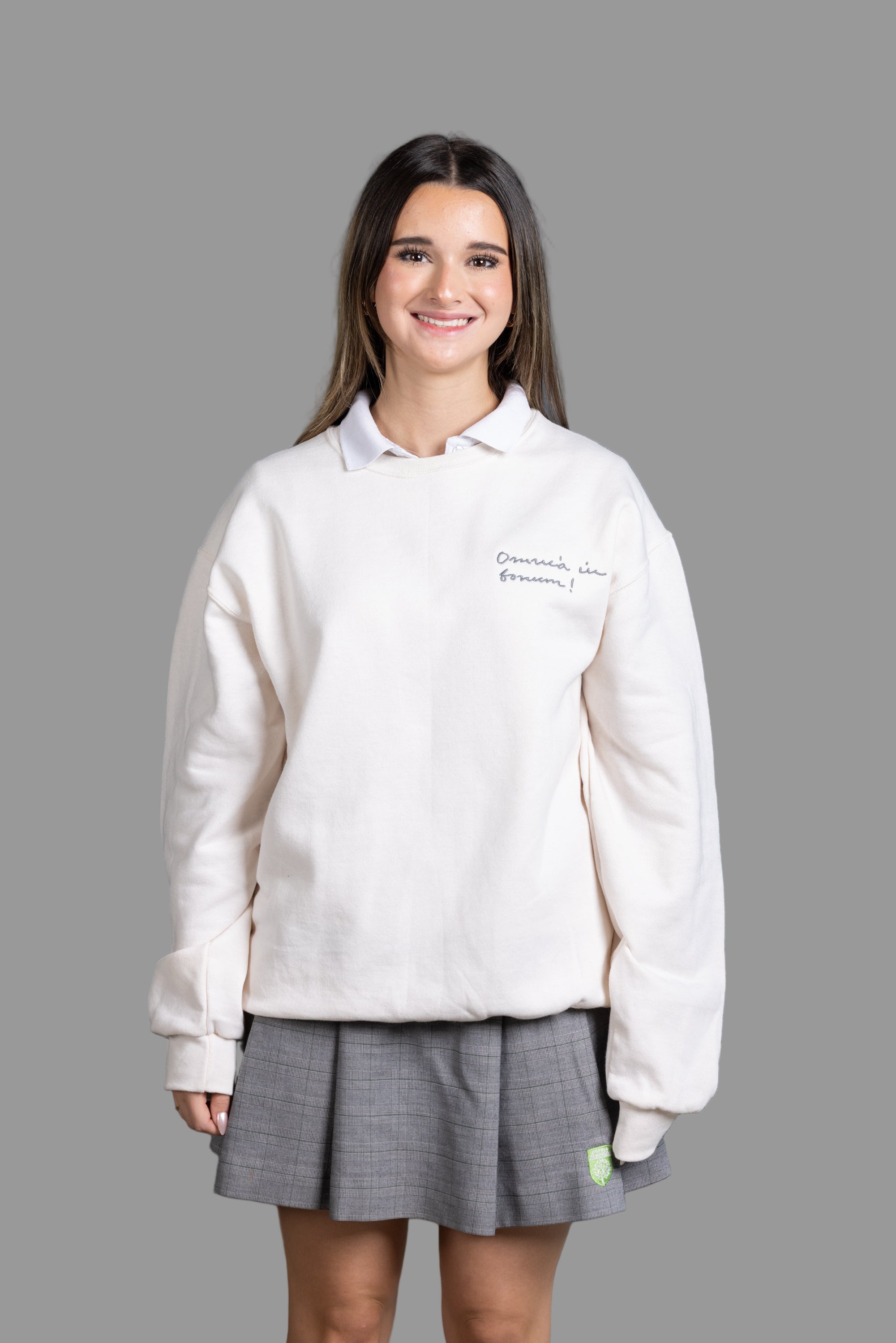 Crewneck Sweatshirt/Small Logo
