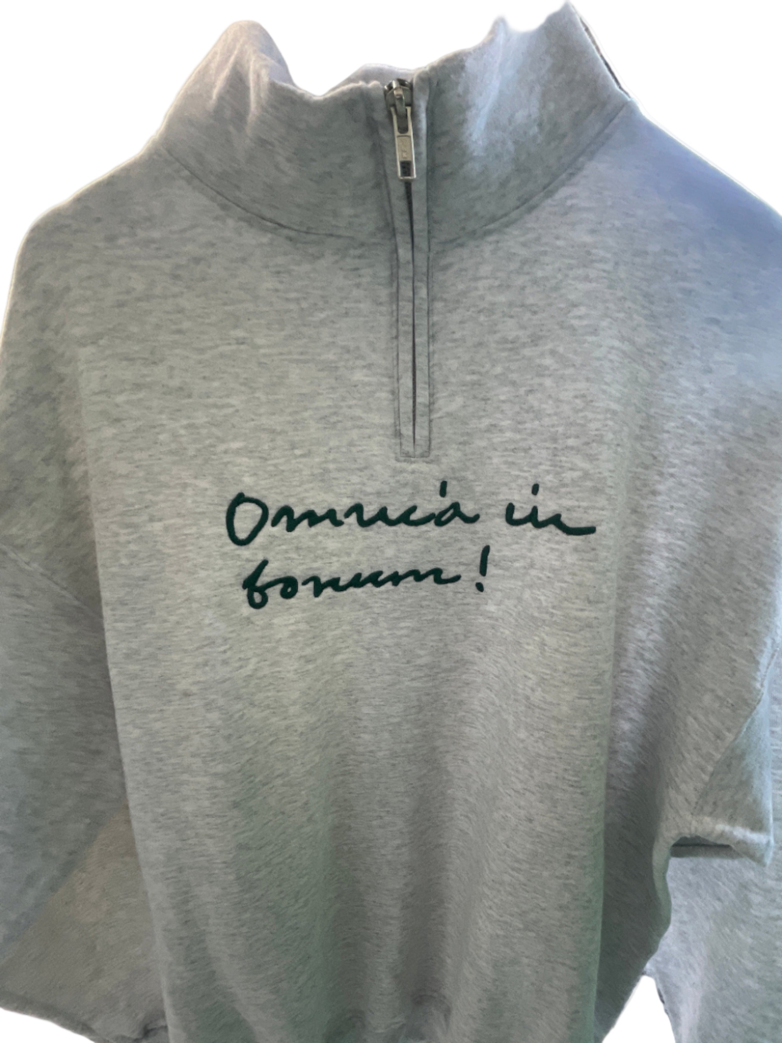 Sweatshirt Big  Logo with Zipper