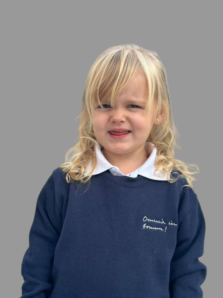 Toddler Crewneck Sweatshirt