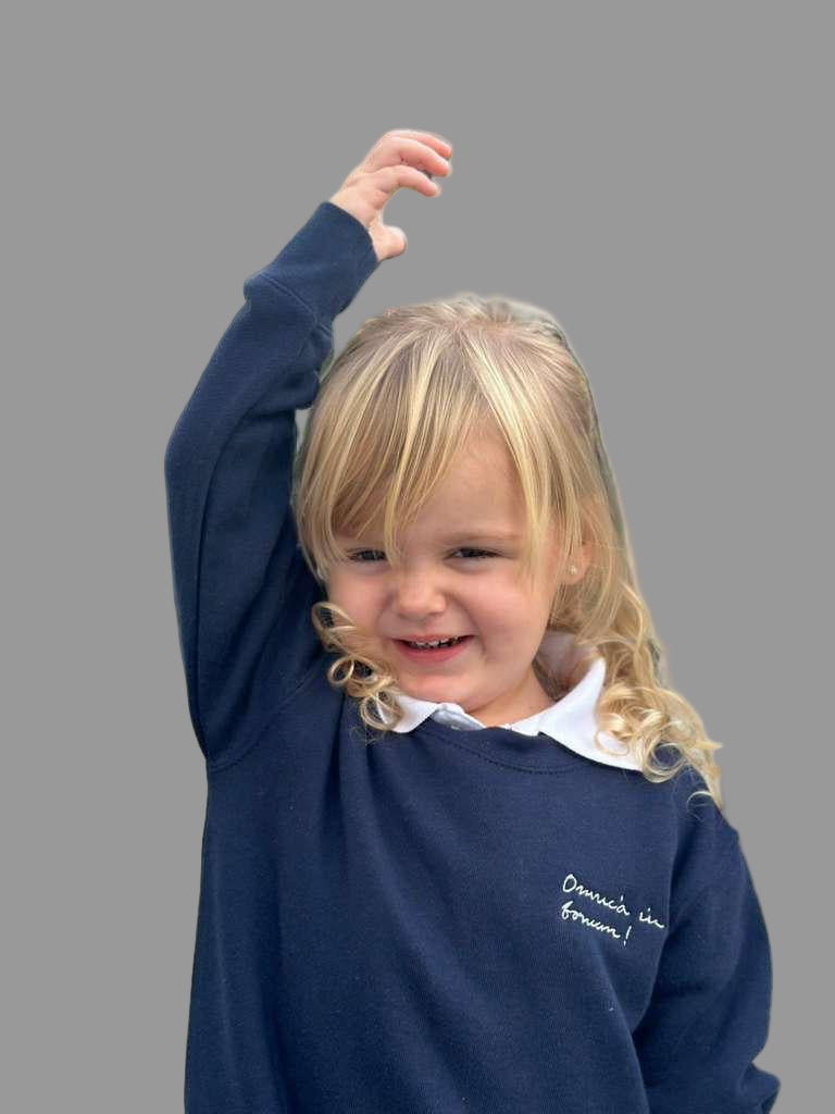 Toddler Crewneck Sweatshirt