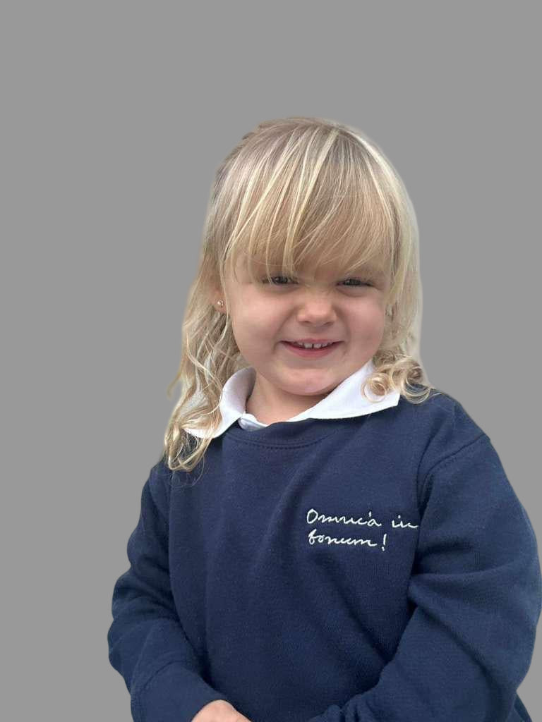 Toddler Crewneck Sweatshirt